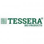 TESSERA