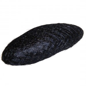 ΜΠΟΜΠΑΡΙ ΜΠΑΝΑΝΑ LARGE 03636