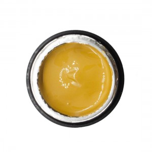 NAILP PAINTING GEL DRAW AND SPONGE #039 8gr NAILP PAINTING GEL DRAW AND SPONGE #039 8gr