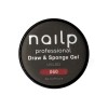 NAILP PAINTING GEL DRAW AND SPONGE #060 8gr NAILP PAINTING GEL DRAW AND SPONGE #060 8gr