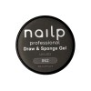 NAILP PAINTING GEL DRAW AND SPONGE #062 8gr NAILP PAINTING GEL DRAW AND SPONGE #062 8gr