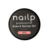 NAILP PAINTING GEL DRAW AND SPONGE #033 8gr NAILP PAINTING GEL DRAW AND SPONGE #033 8gr