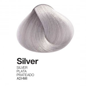 ΒΑΦΗ PALCOLOR SILVER 100ml ΒΑΦΗ PALCOLOR SILVER 100ml