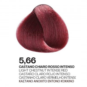 ΒΑΦΗ PALCOLOR 5.66 ΚΑΣΤΑΝΟ ΑΝΟΙΧΤΟ ΕΝΤΟΝΟ ΚΟΚΚΙΝΟ 100ml ΒΑΦΗ PALCOLOR 5.66 ΚΑΣΤΑΝΟ ΑΝΟΙΧΤΟ ΕΝΤΟΝΟ ΚΟΚΚΙΝΟ 100ml