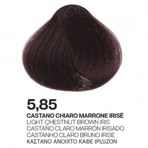 ΒΑΦΗ PALCOLOR 5.85 ΚΑΣΤΑΝΟ ΑΝΟΙΧΤΟ ΚΑΦΕ ΙΡΙΔΙΖΟΝ 100ml ΒΑΦΗ PALCOLOR 5.85 ΚΑΣΤΑΝΟ ΑΝΟΙΧΤΟ ΚΑΦΕ ΙΡΙΔΙΖΟΝ 100ml